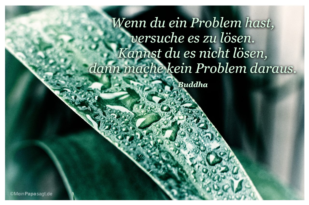 Tropfen auf Palmenblatt mit dem Zitat: Wenn du ein Problem hast, versuche es zu lösen. Kannst du es nicht lösen, dann mache kein Problem daraus. Buddha