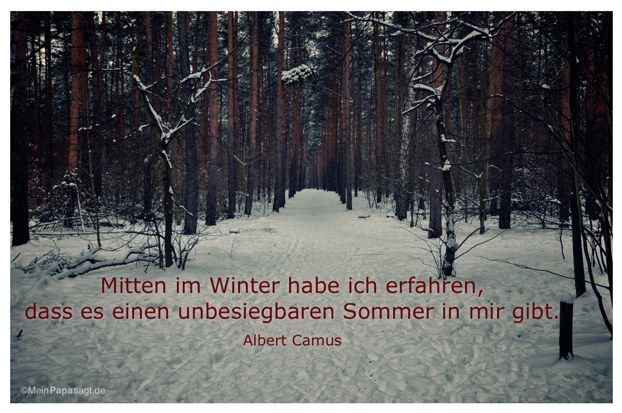 Winter im Berliner Grunewald mit dem Albert Camus Zitat: Mitten im Winter habe ich erfahren, dass es einen unbesiegbaren Sommer in mir gibt. Albert Camus