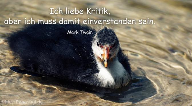 Ich liebe Kritik, aber ich muss damit einverstanden sein – Mark Twain