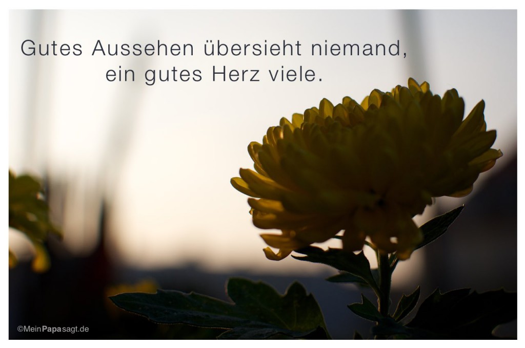 Mein Papa sagt Zitate BilderGalerie zum Thema Liebe&hellip;