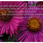 Blütenkelche mit dem Johann Wolfgang von Goethe Zitat: Hast du einen Menschen gern, so musst du ihn versteh'n. Musst nicht immer hier und da, seine Fehler seh'n. Schau mit Liebe und Verzeih', denn am Ende bist du selbst nicht fehlerfrei. Johann Wolfgang von Goethe