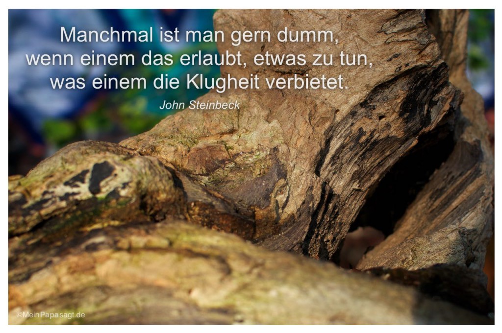 Manchmal ist man gern dumm, wenn einem das erlaubt, etwas zu tun,