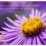 Astern mit dem Søren Kierkegaard Zitat: Verstehen kann man das Leben rückwärts, leben kann man es nur vorwärts. Søren Kierkegaard