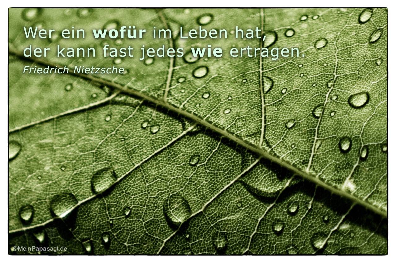 Wer ein wofür im Leben hat, der kann fast jedes wie ertragen&hellip;