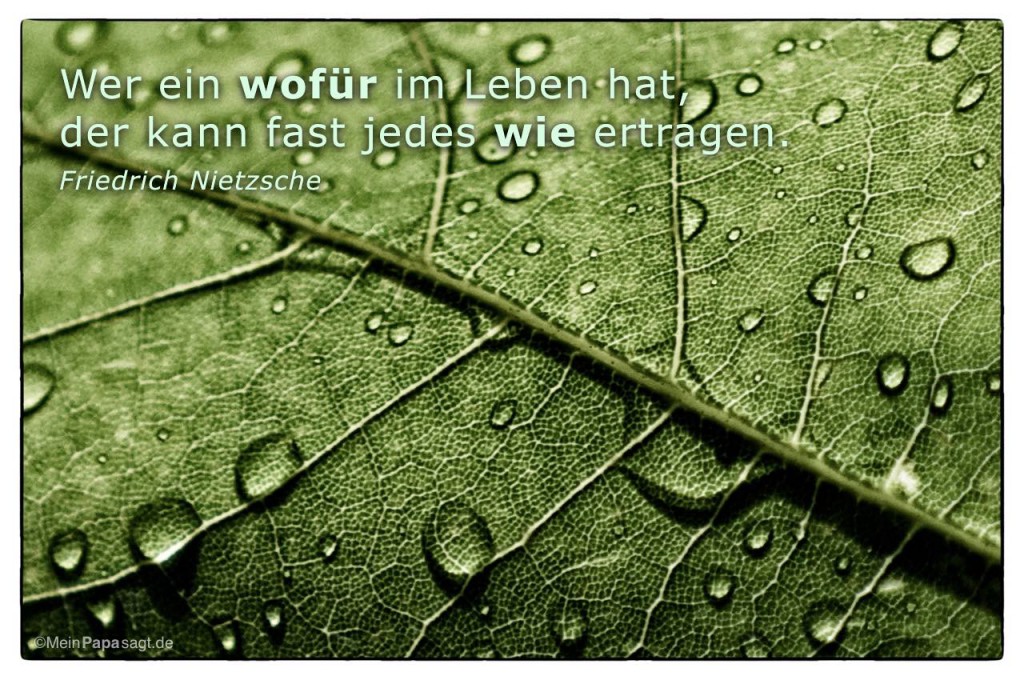 Wer ein wofür im Leben hat, der kann fast jedes wie ertragen Nietzsche
