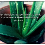 Echte Aloe mit dem Paul Auster Zitat: Es ist vielleicht besser allein zu sein, als von einem anderen abzuhängen. Paul Auster