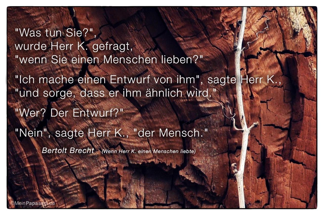 Offener Baumstumpf mit dem Bertolt Brecht Zitat: "Was tun Sie?", wurde Herr K. gefragt, "wenn Sie einen Menschen lieben?" "Ich mache einen Entwurf von ihm", sagte Herr K., "und sorge, dass er ihm ähnlich wird." "Wer? Der Entwurf?" "Nein", sagte Herr K., "der Mensch." Bertolt Brecht