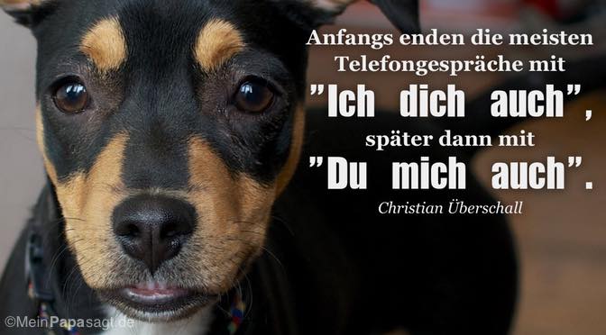 Anfangs enden die meisten Telefongespräche mit "Ich dich