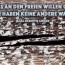 Beitragsbild, Man muss an den freien Willen glauben