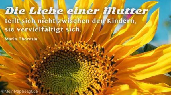 46++ Die liebe einer mutter sprueche , Die Liebe einer Mutter teilt sich nicht zwischen den Kindern, sie