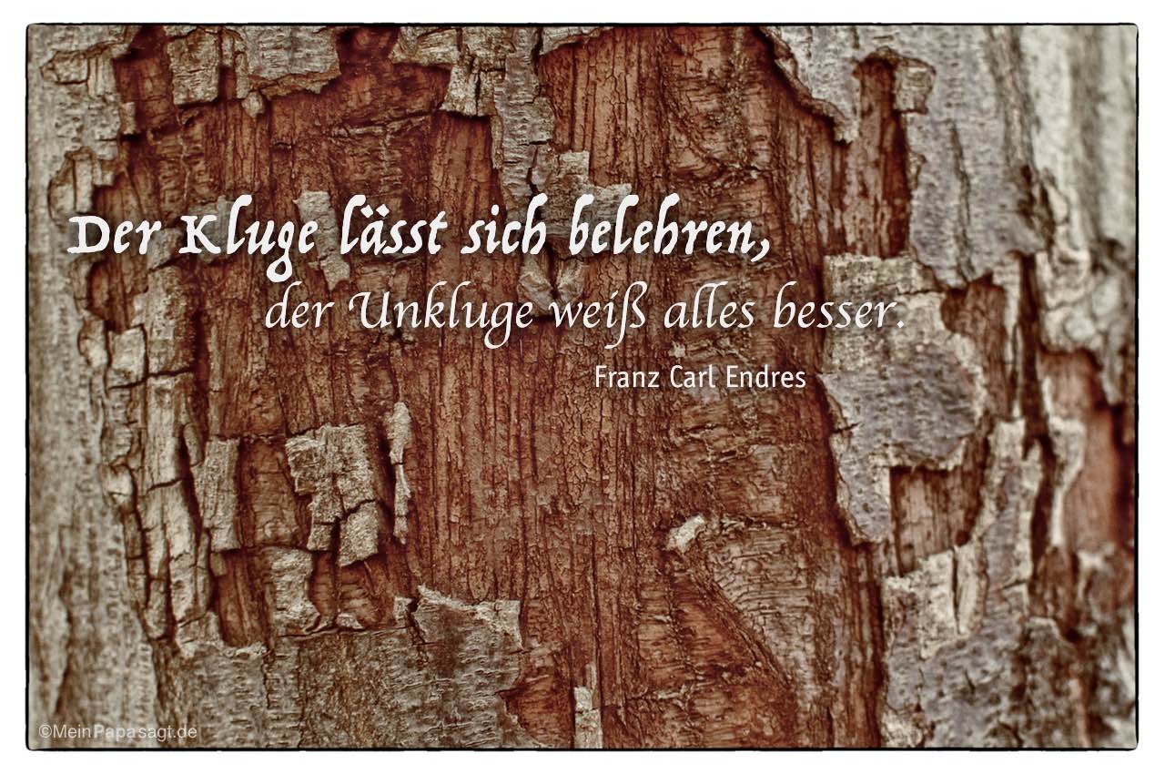 Baumstamm mit dem Franz Carl Endres Zitat: Der Kluge lässt sich belehren, der Unkluge weiß alles besser. Franz Carl Endres