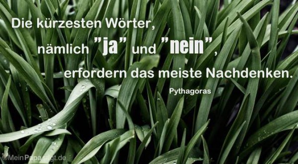 Die kürzesten Wörter, nämlich "ja" und "nein", erfordern das meiste Nach...