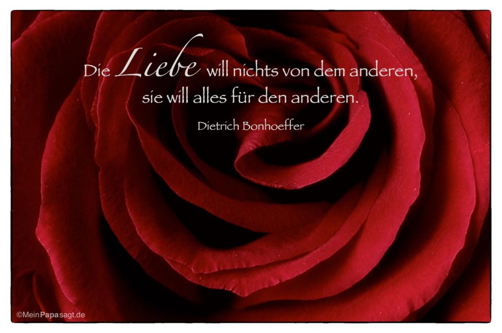 Die Liebe will nichts von dem anderen, sie will alles für den anderen...