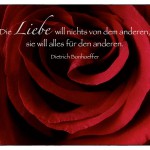 Rote Rose mit dem Dietrich Bonhoeffer Zitat: Die Liebe will nichts von dem anderen, sie will alles für den anderen. Dietrich Bonhoeffer