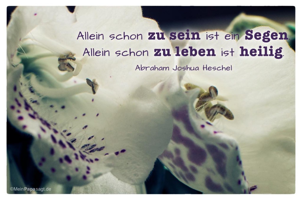 Allein schon zu sein ist ein Segen. Allein schon zu leben ist heilig
