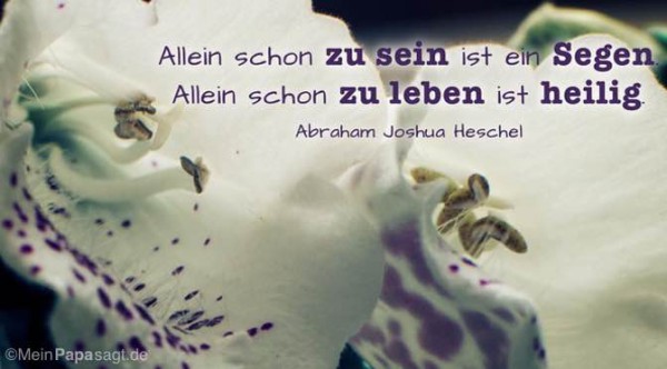 49+ Sprueche ueber allein sein , Allein schon zu sein ist ein Segen. Allein schon zu leben ist heilig Heschel