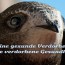 Beitragsbild, Lieber eine gesunde Verdorbenheit