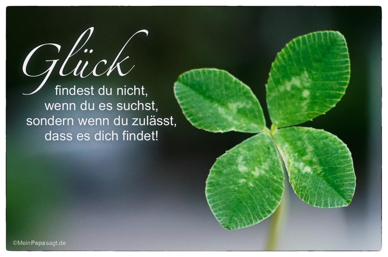 Vierblättriges Kleeblatt mit dem Spruch: Glück findest du nicht, wenn du es suchst, sondern wenn du zulässt, dass es dich findet!