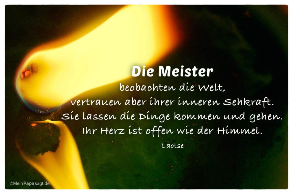 Die Meister beobachten die Welt, vertrauen aber ihrer inneren Sehkraft...