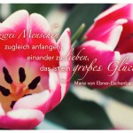 Tulpe mit dem Marie von Ebner-Eschenbach Zitat: Wenn zwei Menschen zugleich anfangen, einander zu lieben, das ist ein großes Glück. Marie von Ebner-Eschenbach