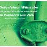 Wand mit Kabelschelle und dem Marie von Ebner-Eschenbach Zitat: Am Ziele deiner Wünsche wirst du jedenfalls eines vermissen: dein Wandern zum Ziel. Marie von Ebner-Eschenbach