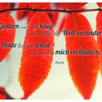 Herbst-Blätter mit dem Rumi Zitat: Gestern war ich klug und wollte die Welt verändern. Heute bin ich weise und möchte mich verändern. Rumi