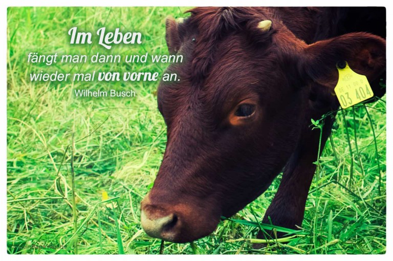 Im Leben fängt man dann und wann wieder mal von vorne an W. Busch