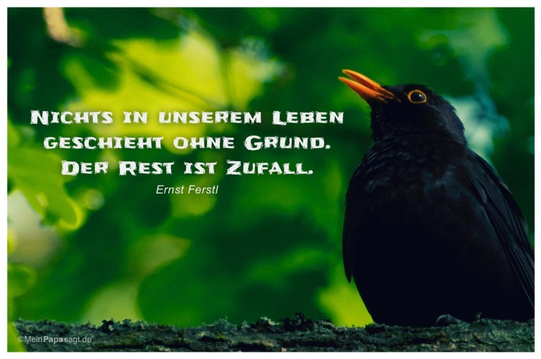 Nichts in unserem Leben geschieht ohne Grund. Der Rest ist Zufall Ferstl