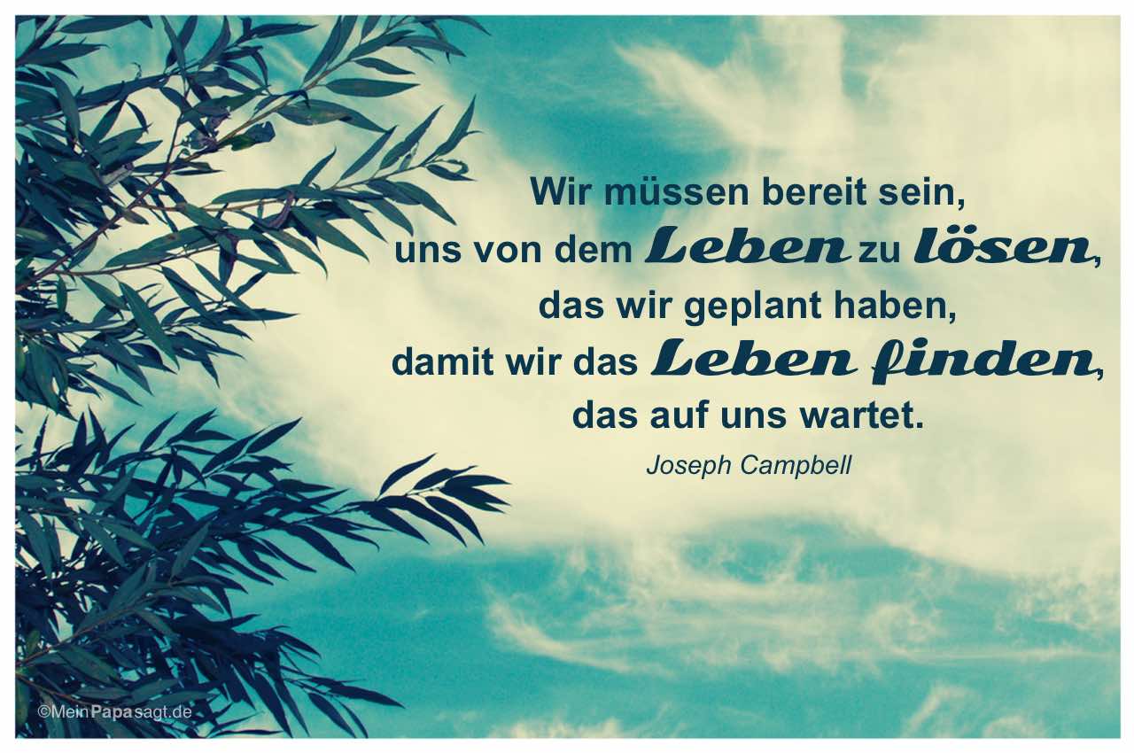 Baum und Himmel mit dem Joseph Campbell Zitat: Wir müssen bereit sein, uns von dem Leben zu lösen, das wir geplant haben, damit wir das Leben finden, das auf uns wartet. Joseph Campbell