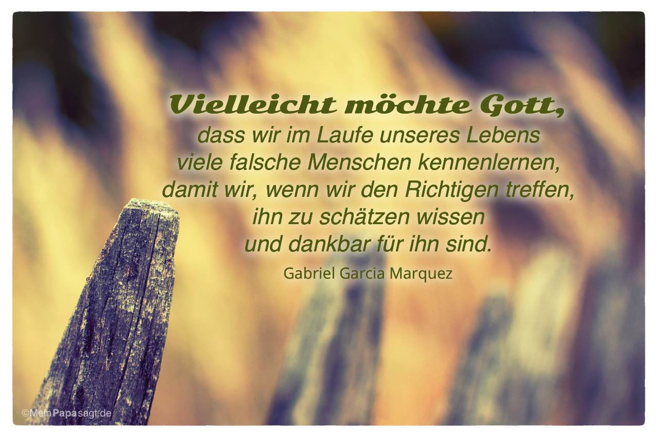 Zaun Mit Dem Gabriel Garcia Marquez Zitat Vielleicht Mochte Gott Dass Wir Im Laufe