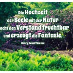 Gartenlandschaft mit dem Henry David Thoreau Zitat: Die Hochzeit der Seele mit der Natur macht den Verstand fruchtbar und erzeugt die Fantasie. Henry David Thoreau
