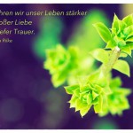 Knospe mit dem Rainer Maria Rilke Zitat: Nie erfahren wir unser Leben stärker als in großer Liebe und in tiefer Trauer. Rainer Maria Rilke
