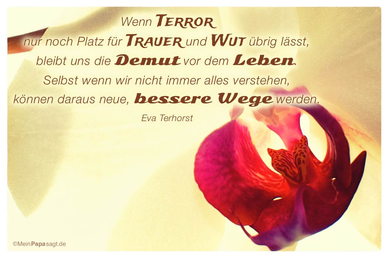 Blüte einer Orchidee mit Mein Papa sagt Eva Terhorst Zitate Bilder: Wenn Terror nur noch Platz für Trauer und Wut übrig lässt, bleibt uns die Demut vor dem Leben. Selbst wenn wir nicht immer alles verstehen, können daraus neue, bessere Wege werden. Eva Terhorst