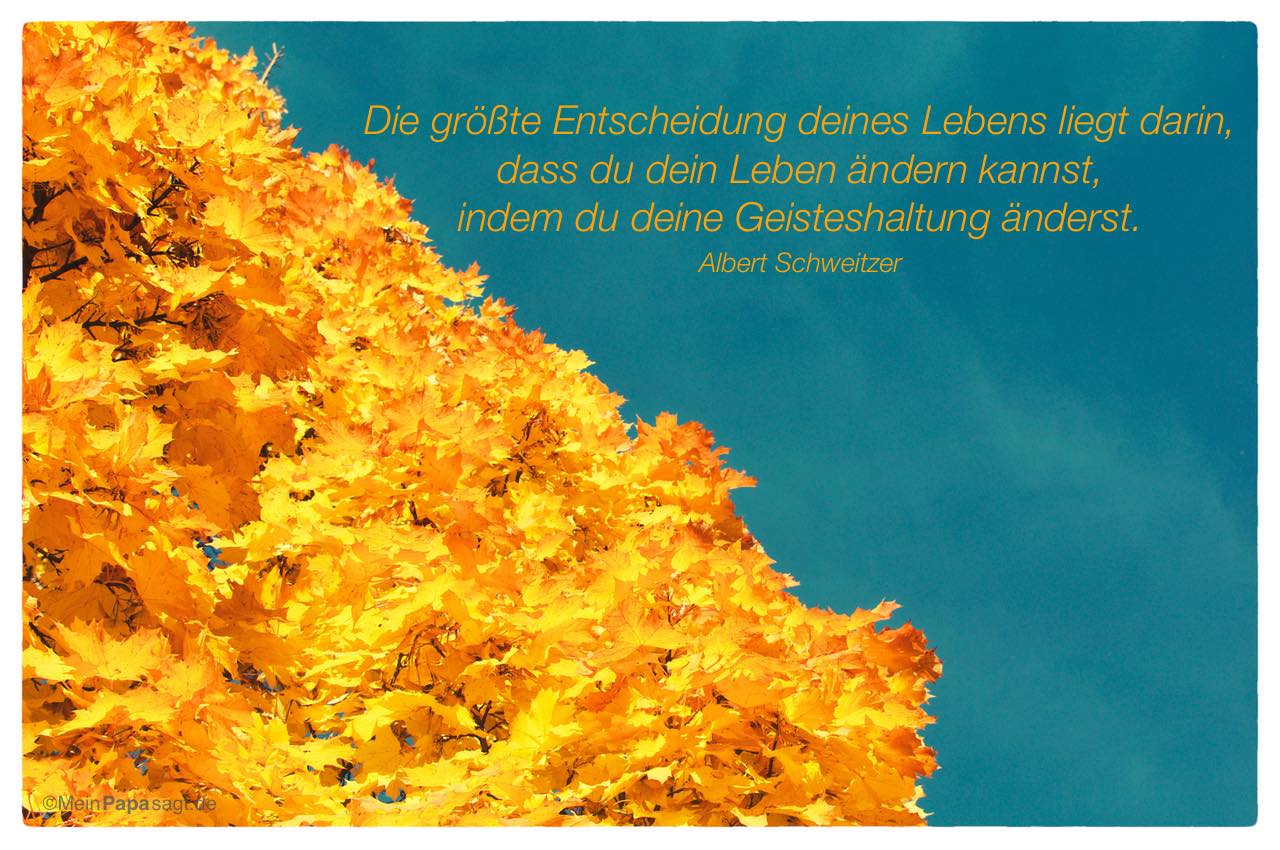 Herbstbaum mit dem Albert Schweitzer Zitat: Die größte Entscheidung deines Lebens liegt darin, dass du dein Leben ändern kannst, indem du deine Geisteshaltung änderst. Albert Schweitzer
