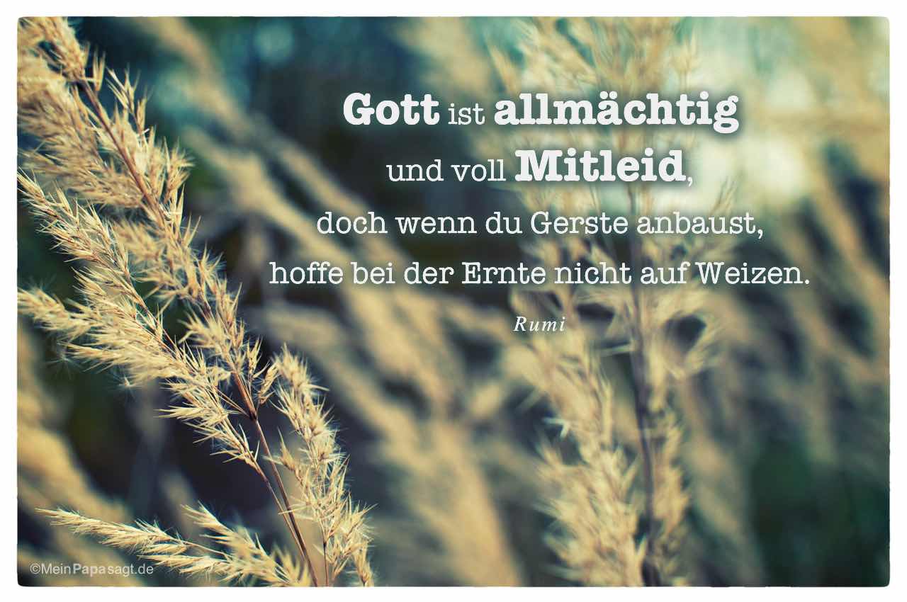 Rumi Zitate Gott Leben Zitate