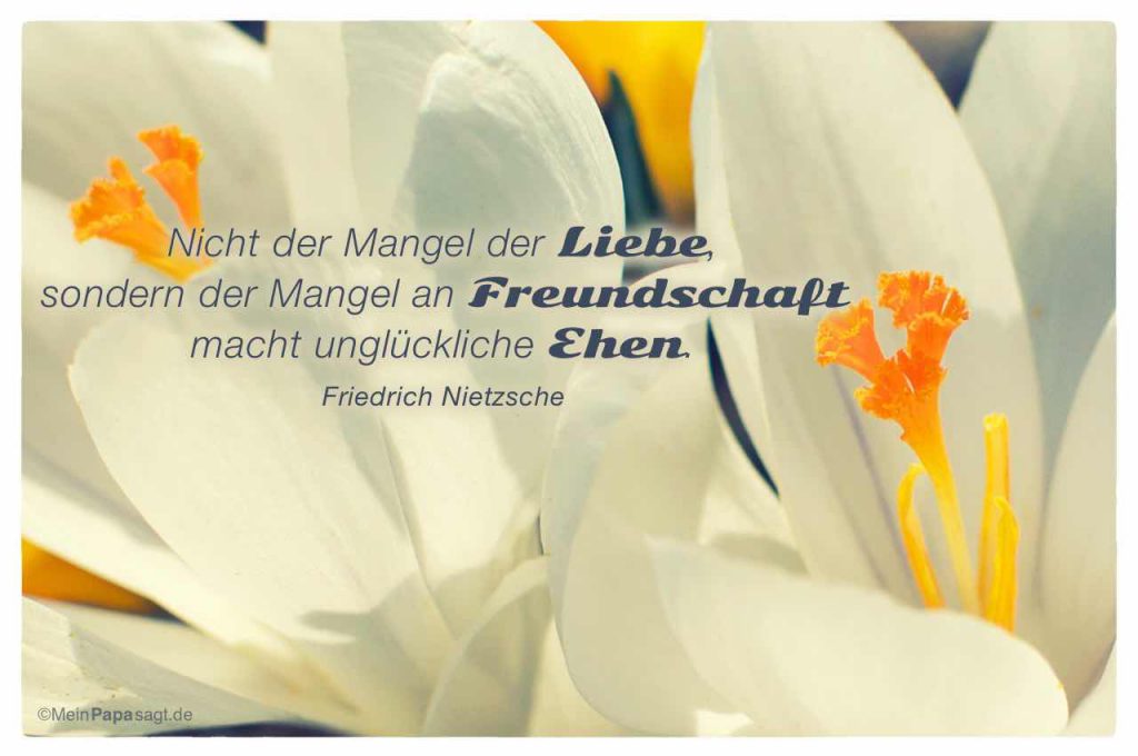 Nicht der Mangel der Liebe, sondern der Mangel an Freundschaft macht...