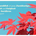 rote Ahorn Blätter mit dem Søren Kierkegaard Zitat: Der Augenblick ist jenes Zweideutige, darin Zeit und Ewigkeit einander berühren. Søren Kierkegaard