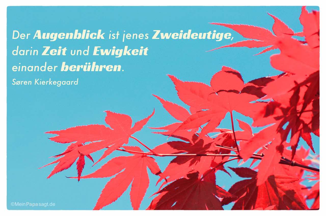 rote Ahorn Blätter mit dem Søren Kierkegaard Zitat: Der Augenblick ist jenes Zweideutige, darin Zeit und Ewigkeit einander berühren. Søren Kierkegaard