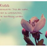 Blüte mit dem Ingrid Bergman Zitat: Der Kuss ist ein liebenswerter Trick der Natur, ein Gespräch zu unterbrechen, wenn Worte überflüssig werden. Ingrid Bergman