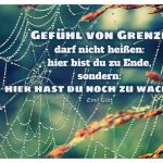 Spinnennetz mit dem Emil Gött Zitat: Gefühl von Grenze darf nicht heißen: hier bist du zu Ende, sondern: hier hast du noch zu wachsen. Emil Gött