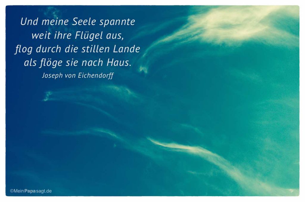 Meine Seele Spannte Weit Ihre Flügel Aus