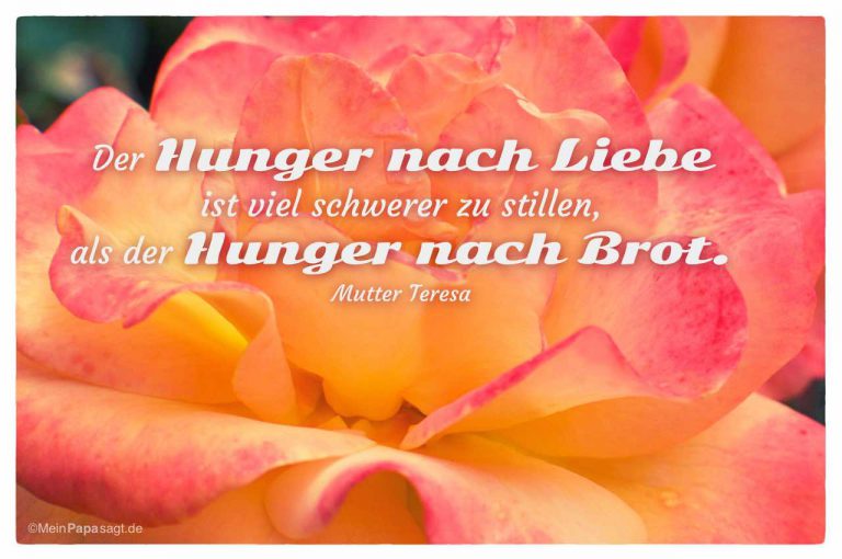 Der Hunger nach Liebe ist viel schwerer zu stillen, als der Hunger nach