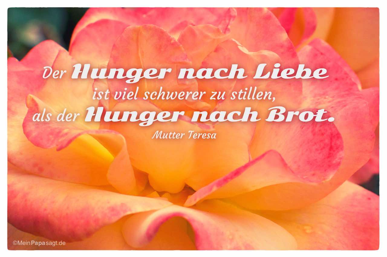 der hunger nach liebe ist viel schwerer zu stillen mutter teresa mein papa sagt weisheiten zitate sprueche