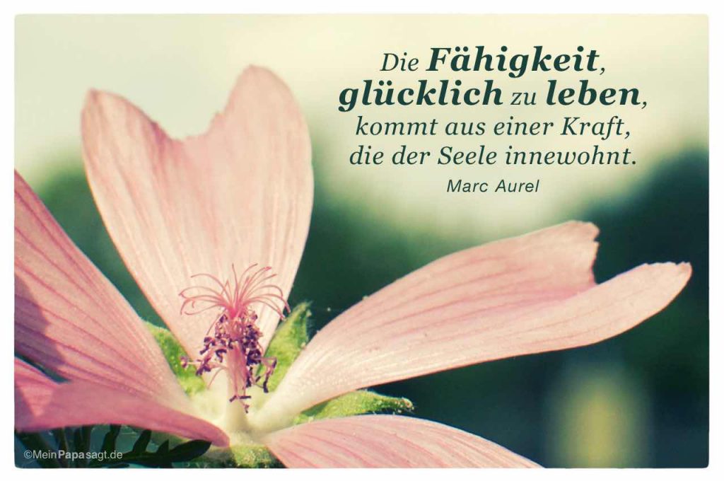 Die Fähigkeit, glücklich zu leben, kommt aus einer Kraft, die der Seele