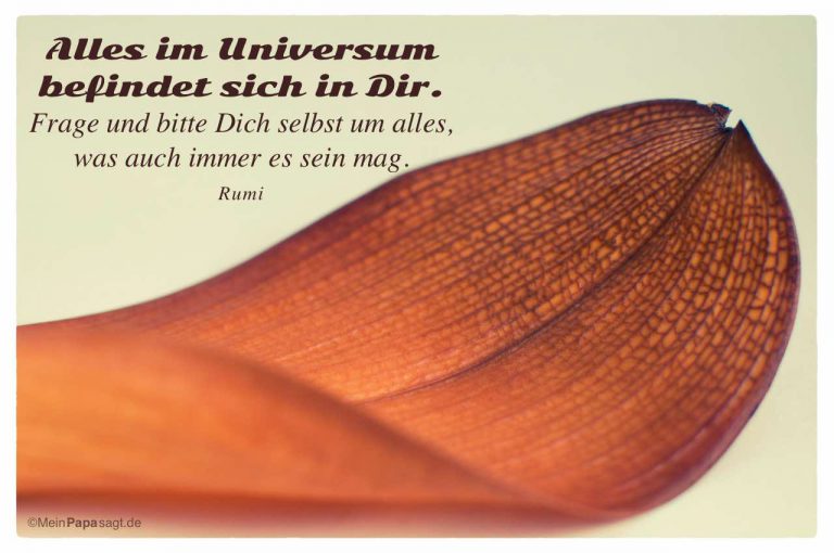 Alles im Universum befindet sich in Dir. Frage und bitte Dich selbst um