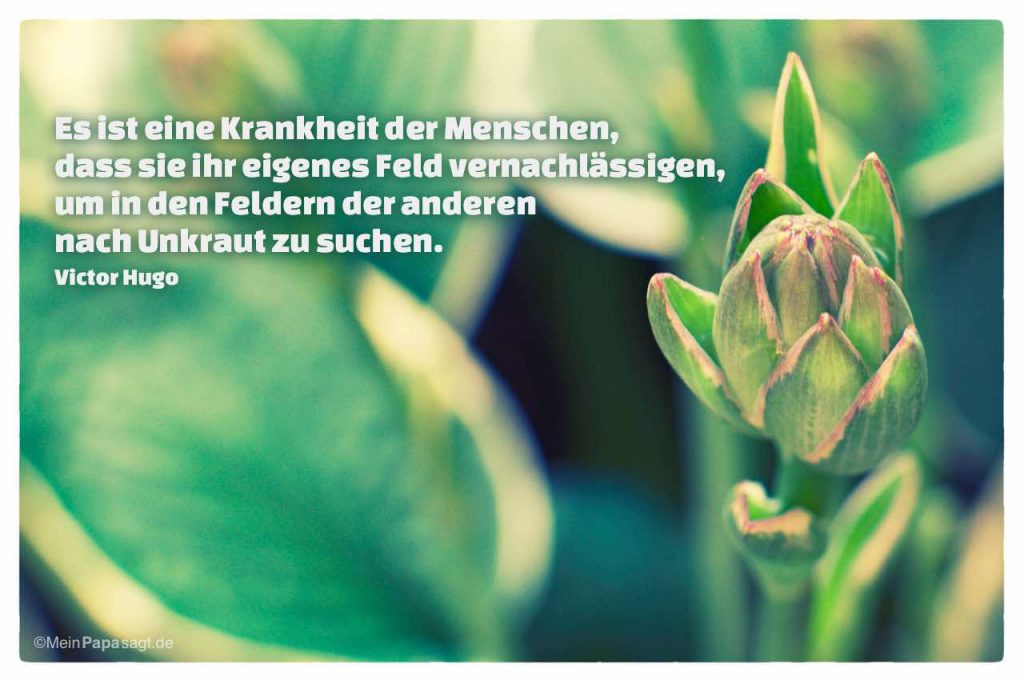 Es ist eine Krankheit der Menschen, dass sie ihr eigenes Feld vernachlässi