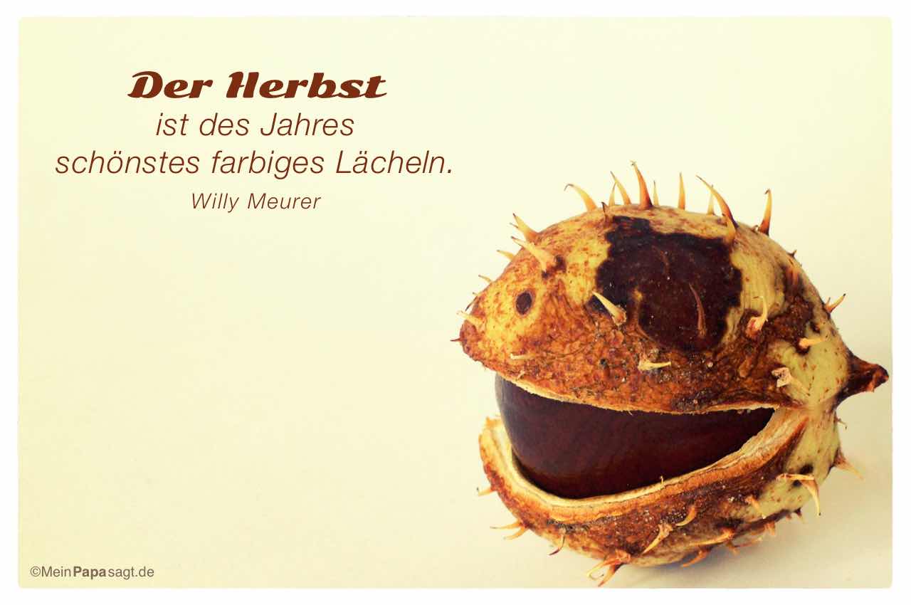 lachende Kastanie mit Mein Papa sagt Willy Meurer Zitate Bilder: Der Herbst ist des Jahres schönstes farbiges Lächeln. Willy Meurer