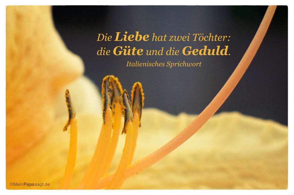 Die Liebe hat zwei Töchter die Güte und die Geduld aus Italien