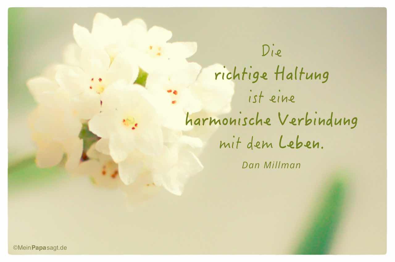 Blüten mit Mein Papa sagt Dan Millman Zitate Bilder: Die richtige Haltung ist eine harmonische Verbindung mit dem Leben. Dan Millman
