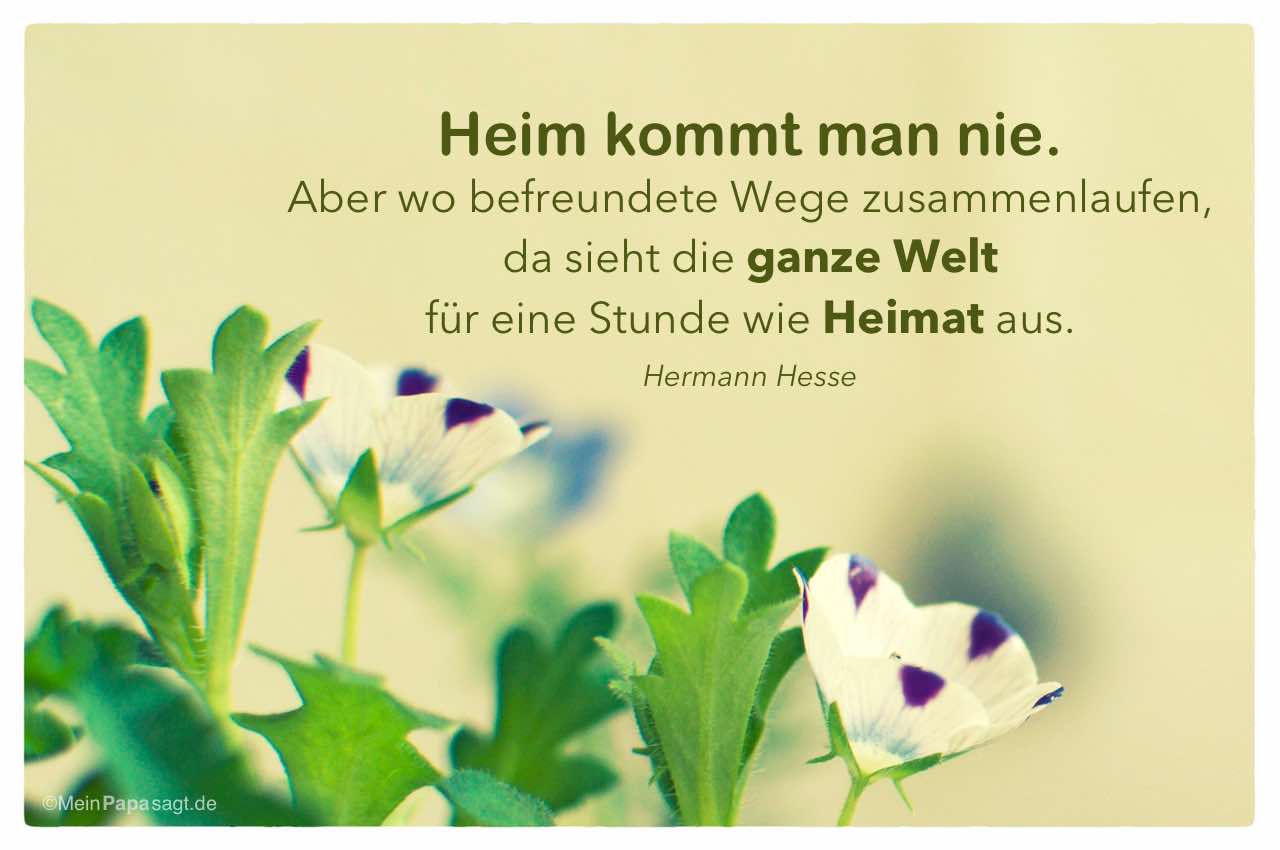 Zitate Hermann Hesse Demian Leben Zitate